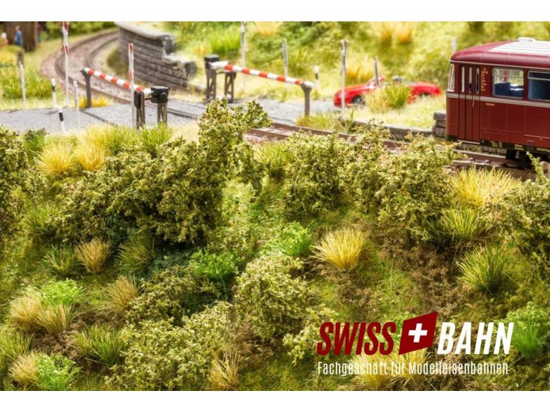 Noch 23102 Ensemble de végétation de talus