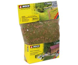 Master-Grasmischung Almwiese, 2,5 bis 6 mm 