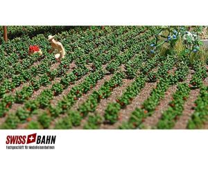 Busch 1265 Erdbeeren Feld mit 40 Erdbeerpflanzen H0 - Ansicht 1