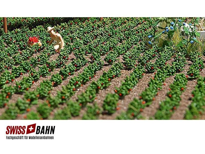 Busch 1265 Fraises champ avec 40 plants de fraises H0