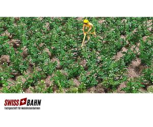 Busch 1266 Kartoffelpflanzen Feld mit 30 Pflanzen H0 - Ansicht 1