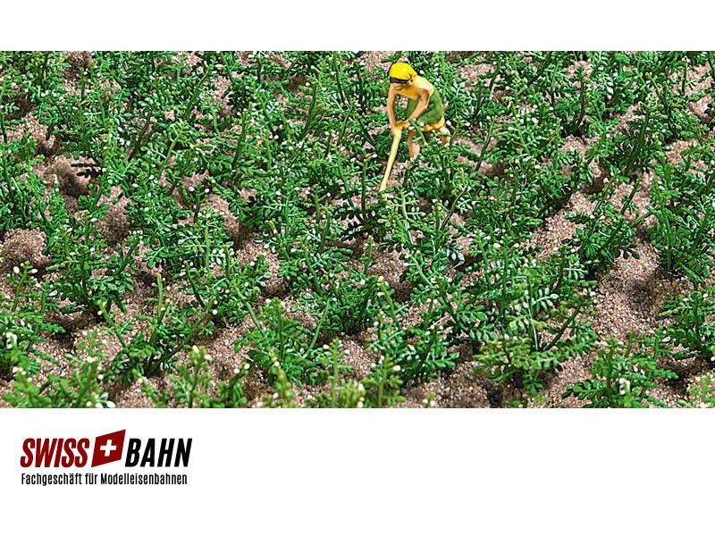 Busch 1266 Campo di piante di patate con 30 piante H0...