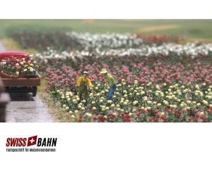 Busch 1205 Rosen 120 Stück in 5 verschiedenen Farben H0 - Ansicht 1