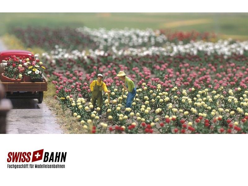 Busch 1205 Roses 120 pièces en 5 couleurs différentes H0