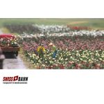 Busch 1205 Rosen 120 Stück in 5 verschiedenen Farben H0