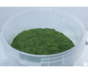 SWISSBAHN 480130 Saftige- grüne Wiese 2.5mm 35gr.