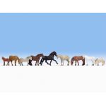 NOCH 15761 Pferde und süsse Ponys, H0 - Ansicht 1