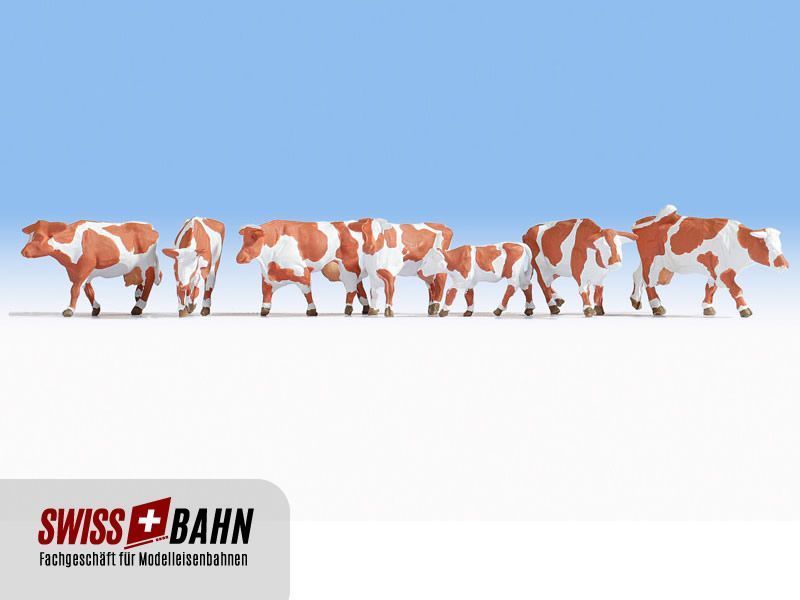 NOCH 15726 Vaches baun- blanches du pays