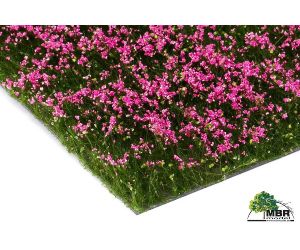 MBR 50-2003 Blumen, Schnittblumen Rosa H0 - Ansicht 1