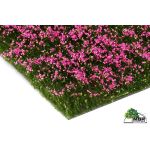 MBR 50-2003 Blumen, Schnittblumen Rosa H0 - Ansicht 1