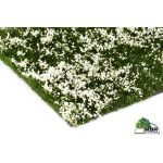 MBR 50-2003 Blumen, Schnittblumen Rosa H0
