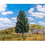FALLER 181477 Douglasie - Professional Series, H0