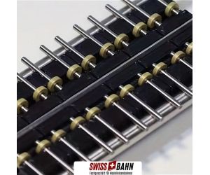 SWR 117998 Rollenprüfstand - 490mm (DC ONLY)