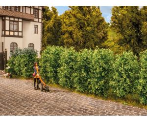 NOCH 21547 21547 Thuja-Hecke 'Immergrün'