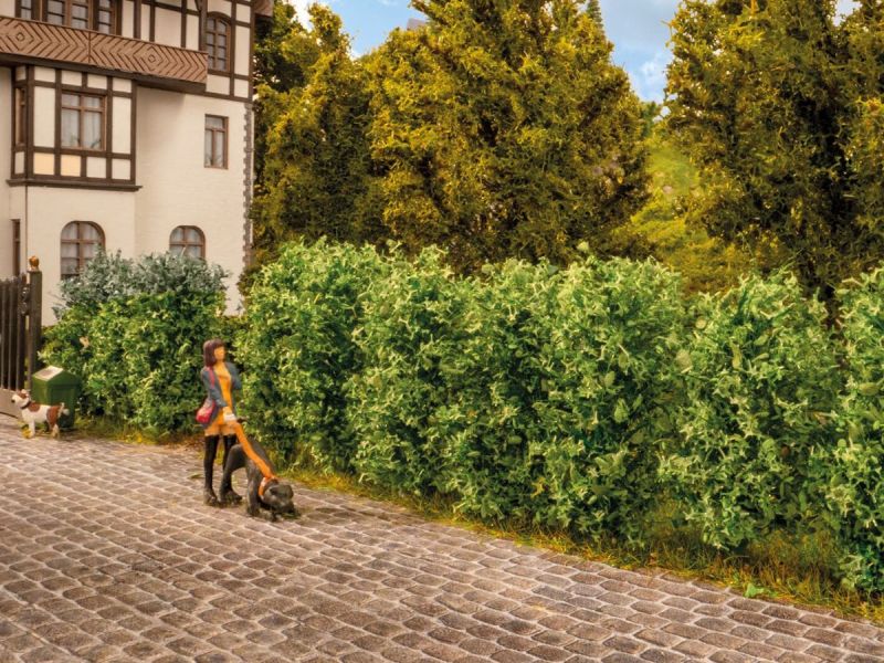 NOCH 21547 Siepe di Thuja 'Sempreverde' (ferrovia in...