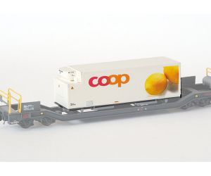 DM 2042 Coop Zitrone - Kühl Container 20' 1:160 - Ansicht 1