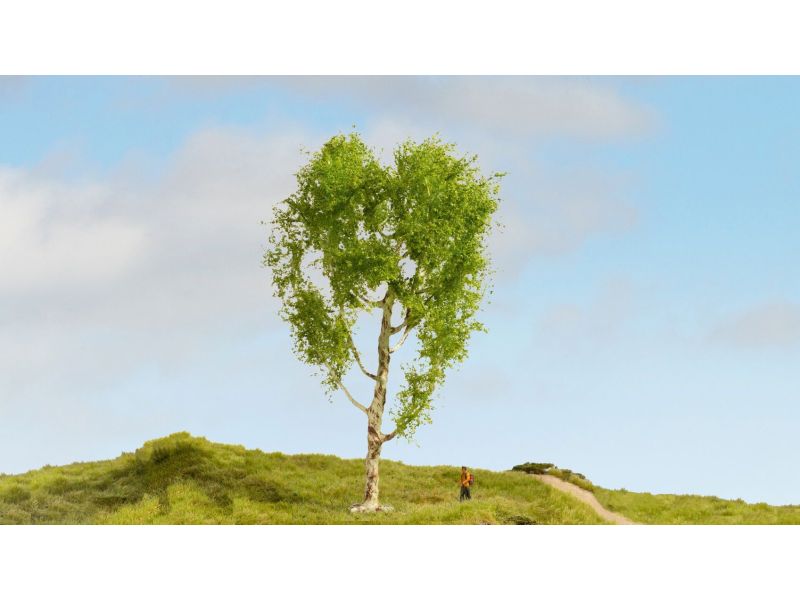 NOCH 20125 Grosse Birke, sehr realistsich H0