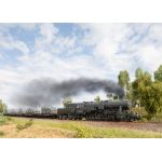 MÄRKLIN 39532 Dampflok Baureihe 52 mit Frostschutz-Verkleidung