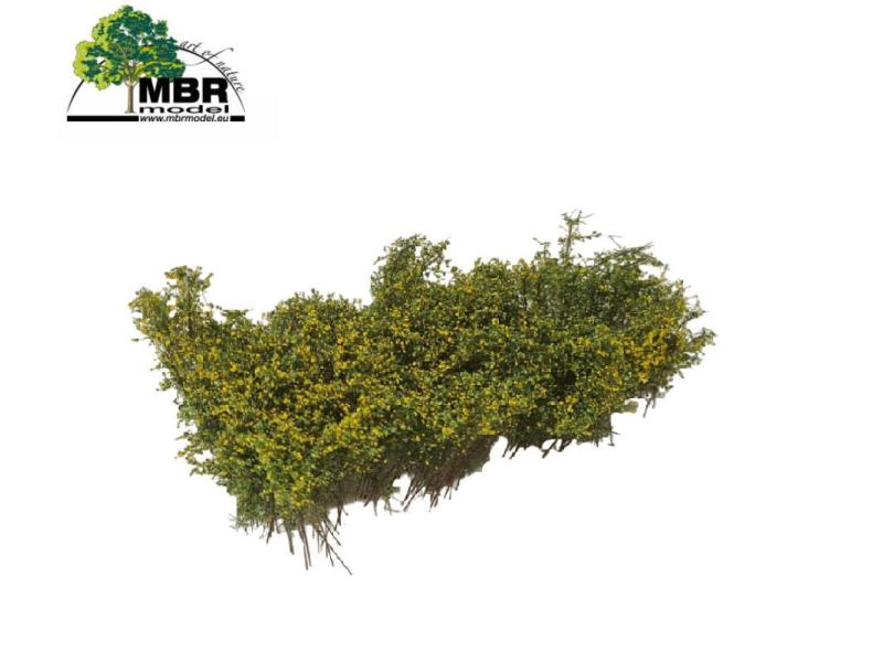 MBR 50-5017 Arbusti, fioritura gialla (ferrovia in...