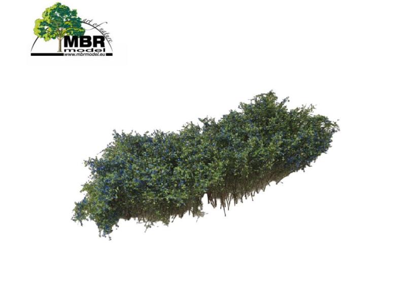 MBR 50-5020 Arbusti, fioritura blu (ferrovia in miniatura)