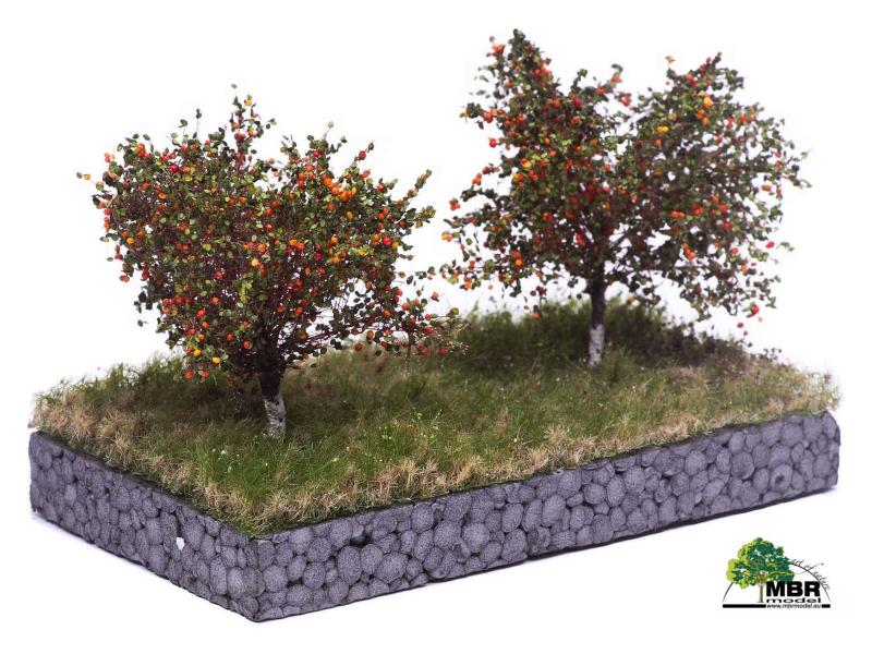 MBR 51-2304 Apfelbaum mit Früchten