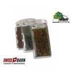 MBR 50-5021 Sträucher, hellgelb blühend