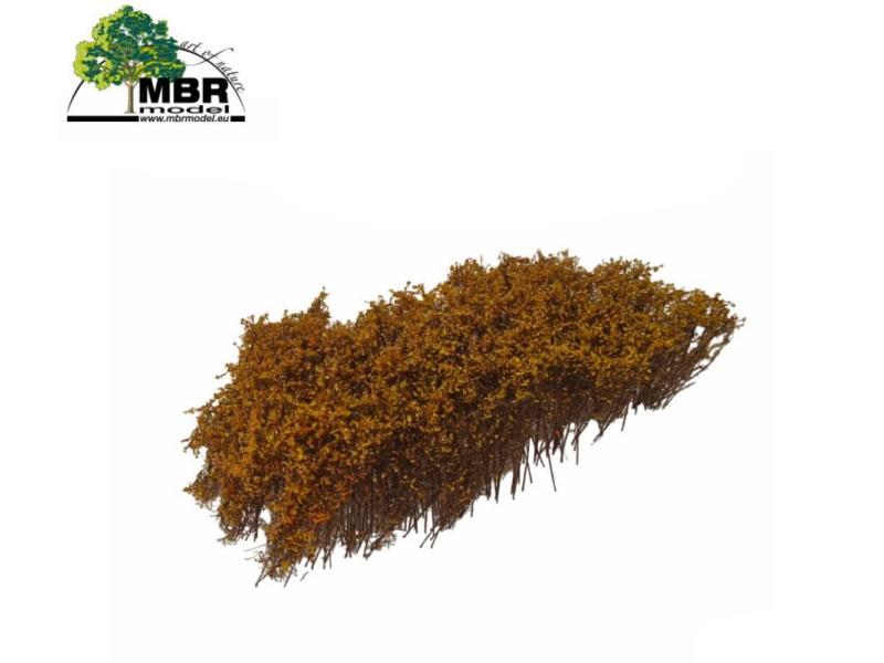 MBR 50-5021 Sträucher, hellgelb blühend