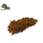 MBR 50-5021 Sträucher, hellgelb blühend