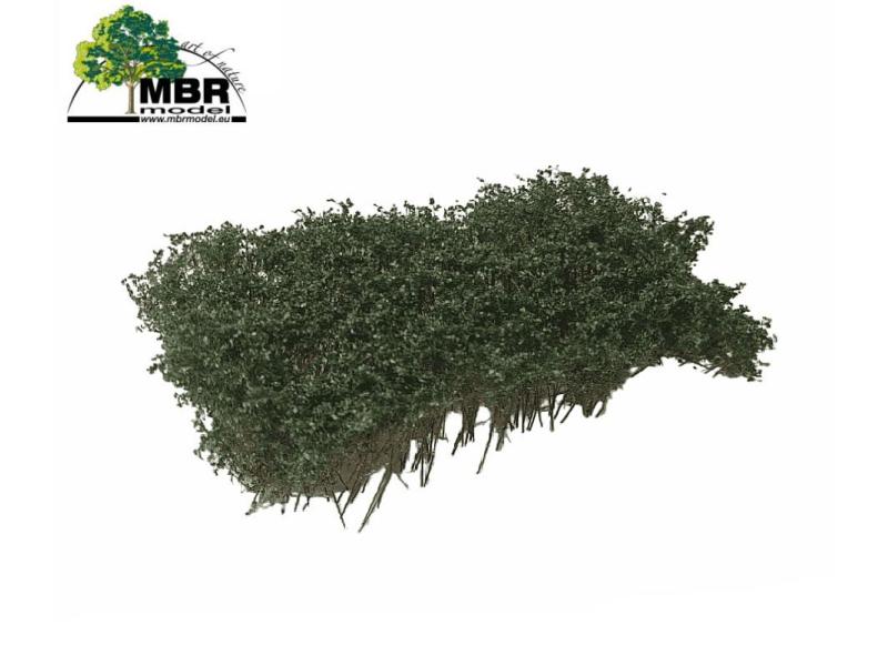MBR 50-5013 Arbusti, fioritura verde scuro (ferrovia...