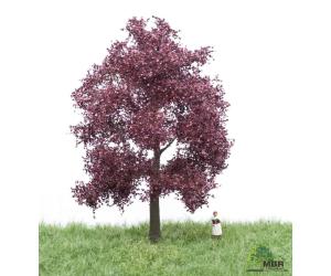 MBR 51-2214 Blutbuche blühend 12-16cm - Ansicht 1