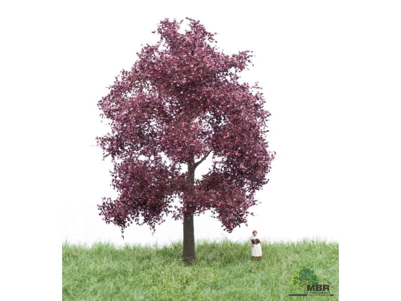 MBR 51-2214 Faggio rosso in fiore 12-16cm (ferrovia in...