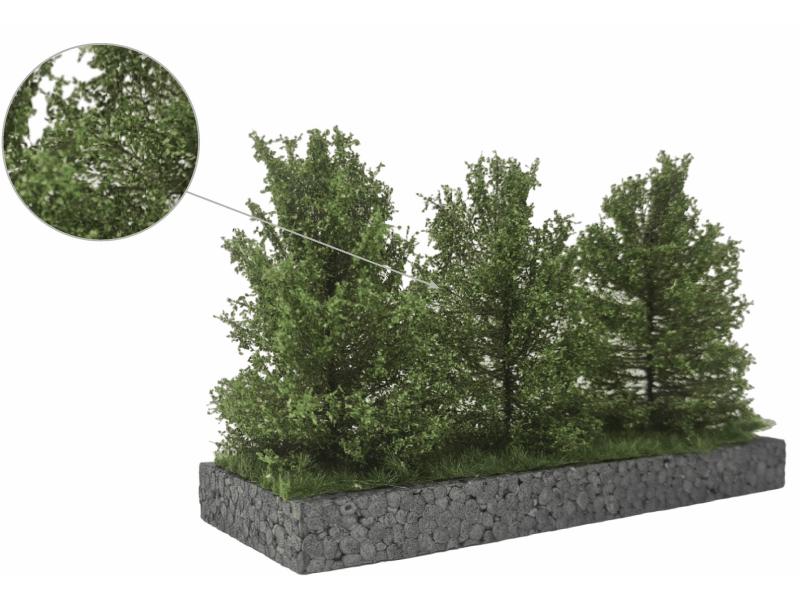 MBR 50-4014 Grand Buisson, Vert Moyen