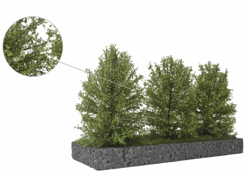 MBR 50-4011 Grand buisson, vert