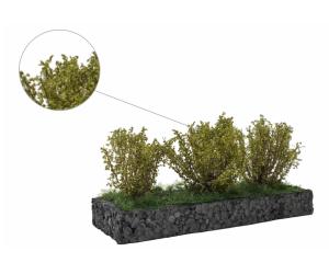 MBR 50-3012 Mittelgrosse Büsche, Hellgrün - Ansicht 1