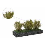 MBR 50-3012 Mittelgrosse Büsche, Hellgrün