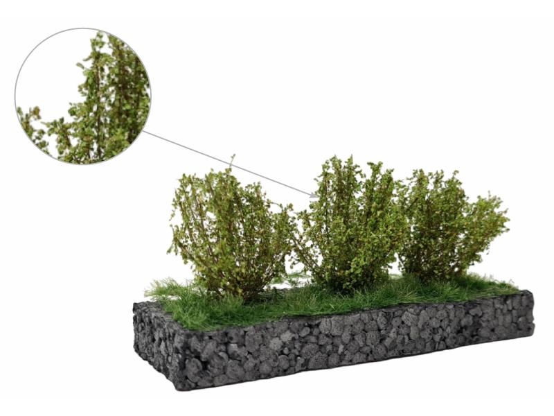 MBR 50-3011 Mittelgrosse Büsche, grün