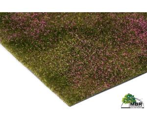 MBR 55-0009 Blumenmatte-Heidefeld - Ansicht 1