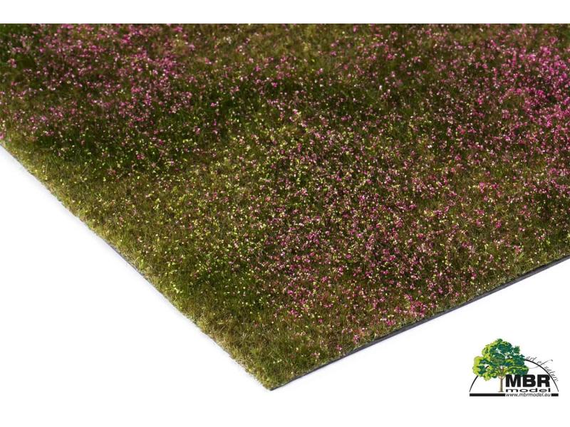 MBR 55-0009 Tapis de fleurs-Heidefeld