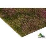 MBR 55-0009 Blumenmatte-Heidefeld - Ansicht 1