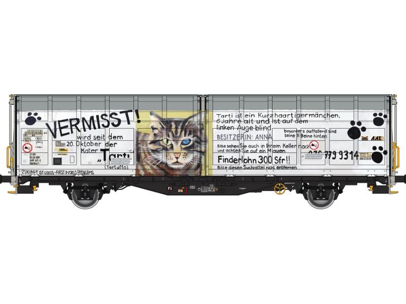 ALBERT MODELL 245052 SBB Schiebewandwagen