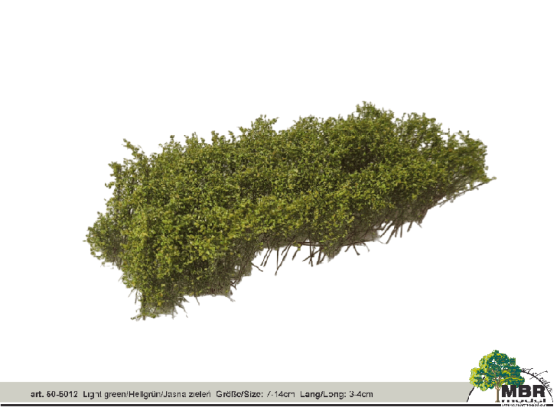 MBR 50-5012 Buissons vert clair