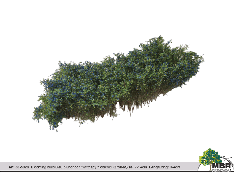 MBR 50-5020 Sträucher mit blauen Blüten