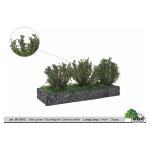 MBR 50-3013 Mittelgrosse Büsche dunkelgrün