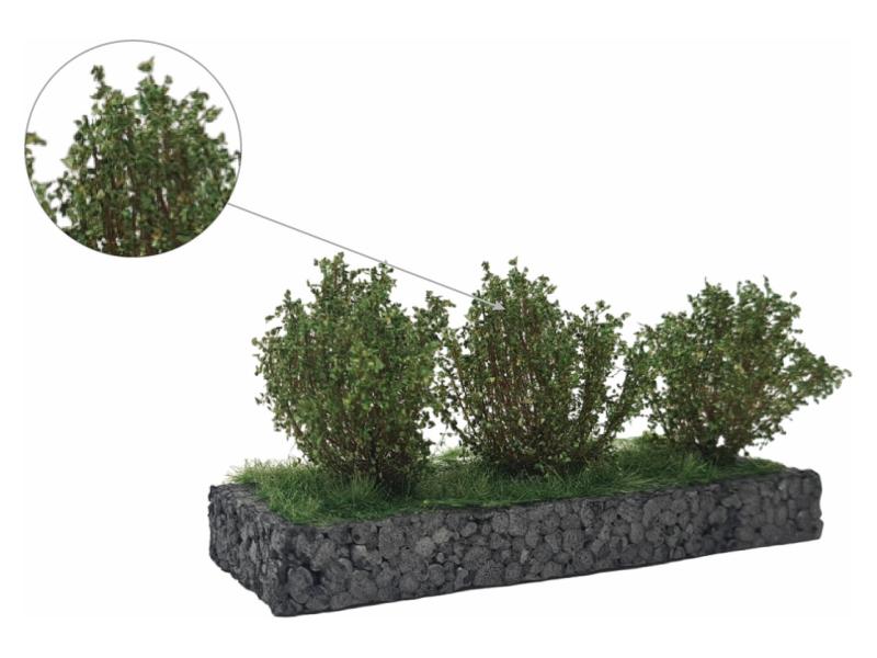 MBR 50-3014 Mittelgrosse Büsche mittellgrün