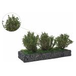 MBR 50-3014 Mittelgrosse Büsche mittellgrün