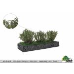 MBR 50-3015 Mittelgrosse Büsche weisslgrün