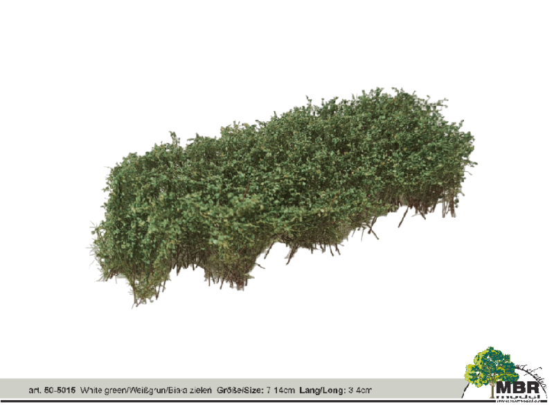 MBR 50-5015 Sträucher, weiss blühend
