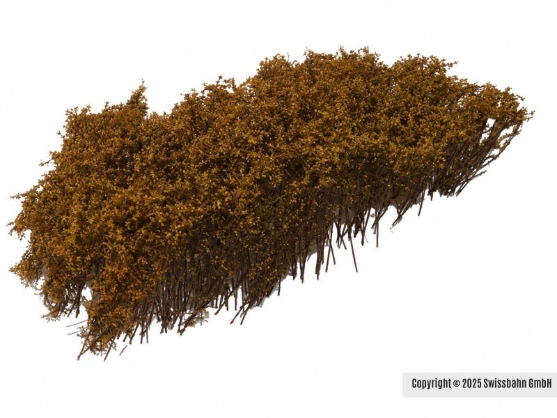MBR 50-5021 Arbusti, fioritura giallo chiaro (ferrovia...