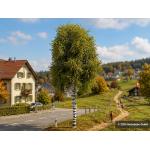 BUSCH 3782 Edel- Birke Sommer, H0 - Ansicht 1