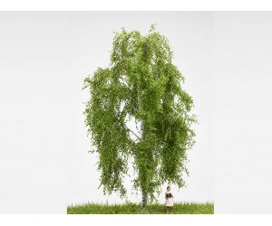 MBR 51-2201 Grosse Hängebirke (Betula pendula) H0 - Ansicht 1